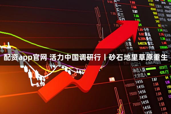 配资app官网 活力中国调研行丨砂石地里草原重生