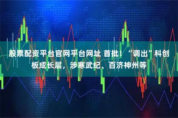 股票配资平台官网平台网址 首批！“调出”科创板成长层，涉寒武纪、百济神州等